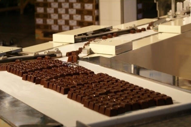 Chocolate factory worker